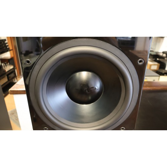 Subwoofer NHT Twelve