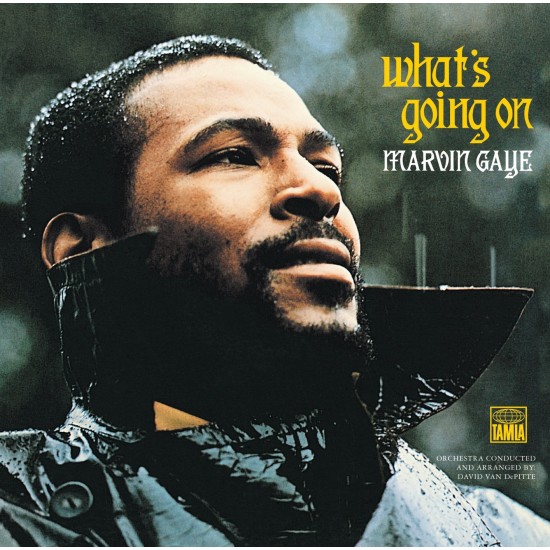 Marvin Gaye What's Going On 